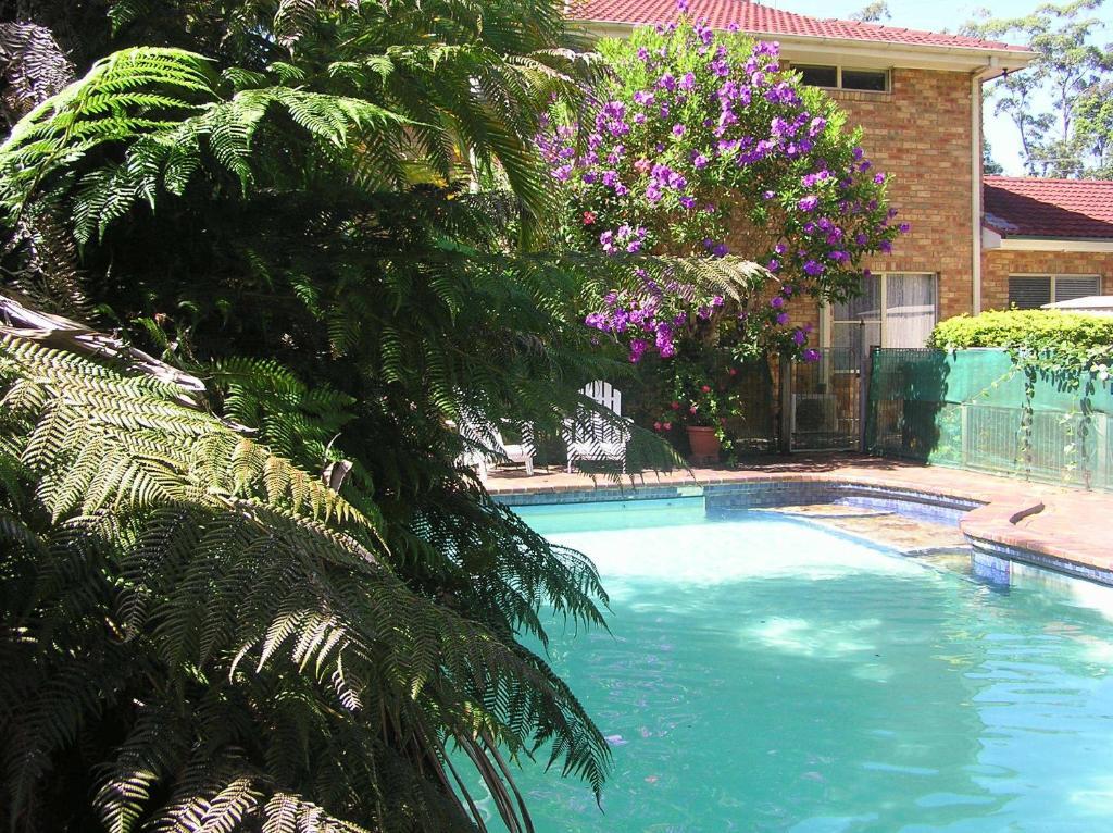 Sapphire Motel Korora Dış mekan fotoğraf